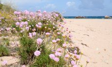 Strand Riu li Saldi - 10 Minuten mit dem Auto