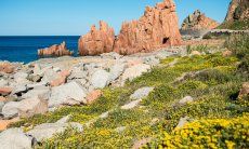 Apartment Orri 3 | Die roten Felsen von Arbatax sind nur 6 km entfernt Rocce Rosse, Arbatax