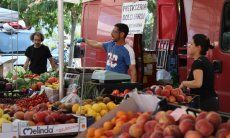 Großes Angebot an regionalem Obst und Gemüse