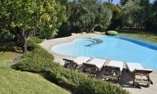Villa Ulivi 12 | Pool mit Sonnenliegen und Zitronenbaum Pool