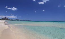 Apartment Orchidea-C | Traumstrand der Costa Rei Wund