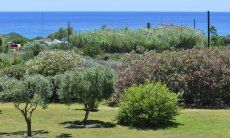 Großflächiger Garten der Villa mit Meerblick 