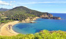 Strand Chia bearbeitet - farblich intensiviert