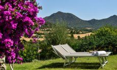 Li Conchi 4 | Blühender Bougainville und Sonnenliegen im Garten Garten