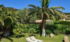 Villa Chiara | Uneinsehbarer Garten mit Palmen und Sonnenliegen Uneinsehbarer Garten mit Palmen und Sonnenliegen