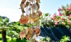Villa delle Agave | Muschelsammlung aus einer nicht zu langen Zeit - als es noch Muscheln gab New Picture July 2018