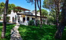 Villa Liliana | Großer, gut gepflegter Garten der Villa Schattiger Garten