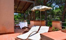 App. Pino | Private Terrasse Terrasse