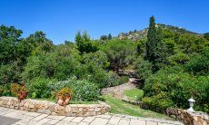 Villa Philippine | Gepflegter Garten im Eingangsbereich Zufahrt zum Haus