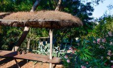 Villa Philippine | Sonnenschirme im Garten New Picture 2018