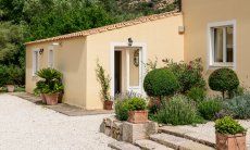 Villa Caroline | Gepflegter Eingang mit mediterranen Pflanzen Gepflegter Eingang mit mediterranen Pflanzen