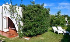 Villa Vela | Eingewachsener Garten mit gemütlichen Sonnenliegen Villa Vela