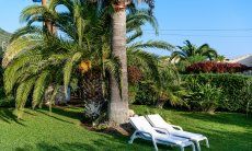 Villa Giangaleazzo | Garten mit Sonnenliegen unter Palmen Garten mit Sonnenliegen unter Palmen