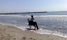 Ponyausritt am Strand von Porto Columbu | Reitstall Boscovivo