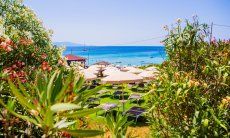 Blick über Oleanderbüsche und Sonnenschirme auf das blaue Meer vorm Strand Le Bombarde Alghero