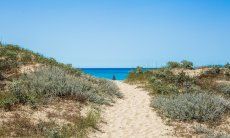 Strandzugang durch die Dünen von Geremeas