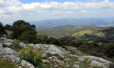 Baronie, Monte Albo