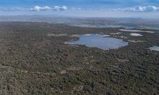 Hochplateau Giara di Gesturi Sardinien