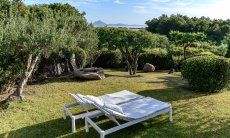 Casa 1 | Garten mit typischen Sträuchern und altem Baumbestand Hausdarstellung Casa 1 Sant Elmo Südsardinien