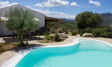 Villa Oleandro | Pool mit breiter Treppe Pool Villa Oleandro, Porto Rotondo, Nordsardinien