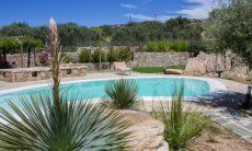 Villa Oleandro | Pool mit Agaven im Garten Pool Villa Oleandro, Porto Rotondo, Nordsardinien