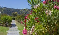 Li Conchi 4 | Weg zum Gemeinschaftspool Fußweg zum Pool von Li Conchi
