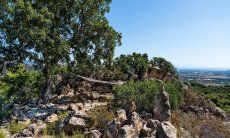 Villa Su Tauloni | Schattiger Platz unter einer alten Korkeiche mit Tisch und Stühlen und Hängematte zum Ausspannen Villa Su Tauloni, Is Molas, Südsardinien