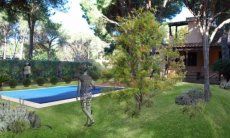 Villa Pino | Rendering vom privaten Pool der zu Dezember 2019 fertig gestellt wird Rendering vom privaten Pool der zu Dezember 2019 fertig gestellt wird
