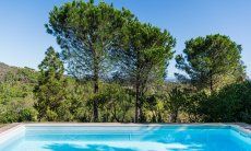 Villa Fiori 2 | Große Pinien garantieren die Privatspähre am Pool und erlauben dennoch den Blick bis zum Meer Aussenbereich: Garten, Privater Pool und Terrasse