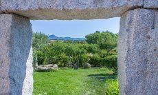 Casa 1 | Herrlicher Garten mit landestypischen Pflanzen wie einem Affenbrot- und Gineprobaum Casa 1 - Sant'Elmo