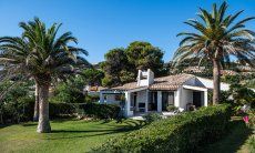 Villetta 3 | Hügel hinter dem Haus und Palmen im Garten Haus und Garten Villetta 3 Costa Rei