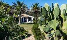 Villetta 3 | Großzügiger Garten Hauseinblick Villetta 3 Costa Rei