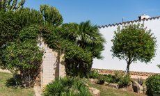 Villa Lucia | Blickgeschützte Aussendusche iunter Palmen im Garten New Picture 2022