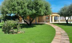 Villa Girasole | Hausansicht mit Garten und Olivenbäume New Picture