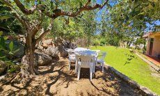 Villa Lucia | Gartentisch hinter dem Haus unter einem alten Olivenbaum New Picture