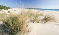 Villetta Pino | Chia, 6 km Sardinien