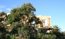 Villa Aquila Alta | Villa Aquila Alta inmitten phantastischer Vegetaion Sardinien