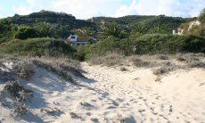 Hauslage direkt am Strand 