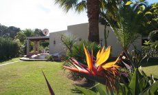 Villa Giangaleazzo | Bunte Blumen im Garten Bunte Blumen im Garten