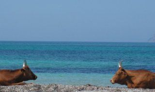 Sardinien