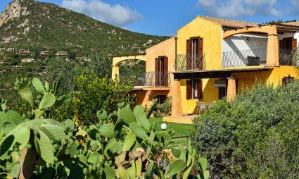 Orchidea, eingebettet in die Natur