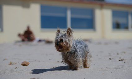 Sardinien