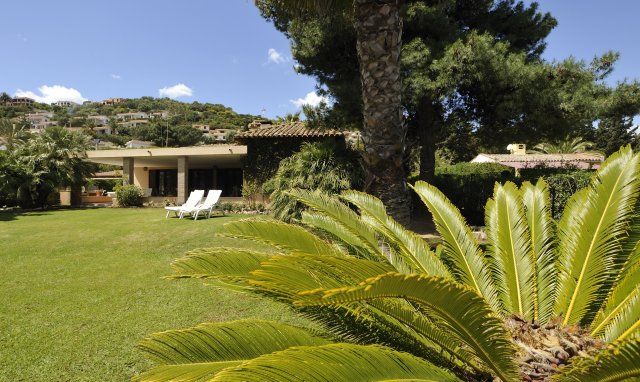 Villa Palme | Großer, weitläufiger und schön gestalteter Garten Großer, weitläufiger und schön gestalteter Garten