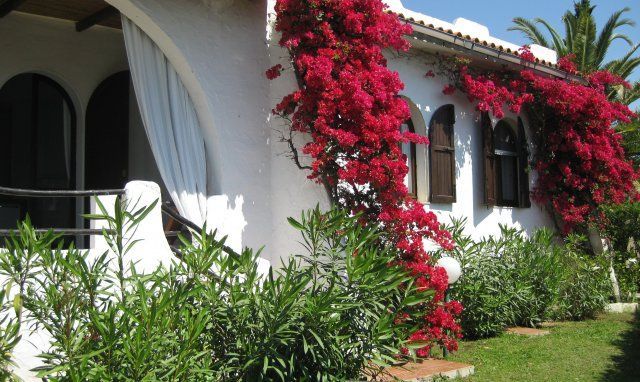 Villa ToreMari | Grüner Garten und blühende Bougainville vor der Terrasse Villa ToreMari