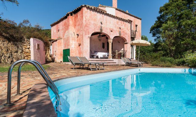 Villa del Sole | Im Mai blüht der wilde Ginster Hausdarstellung Villa del Sole, Is Molas, Pula , Südsardinien