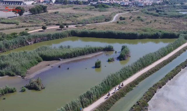 Parco di Molentargius - Cagliari